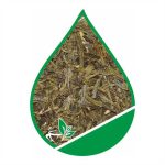 Žalioji arbata Lung Ching