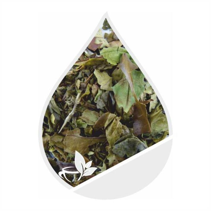 pai-mu-tan-white_optimized Baltoji arbata Pai Mu Tan - 50 g - Image 1