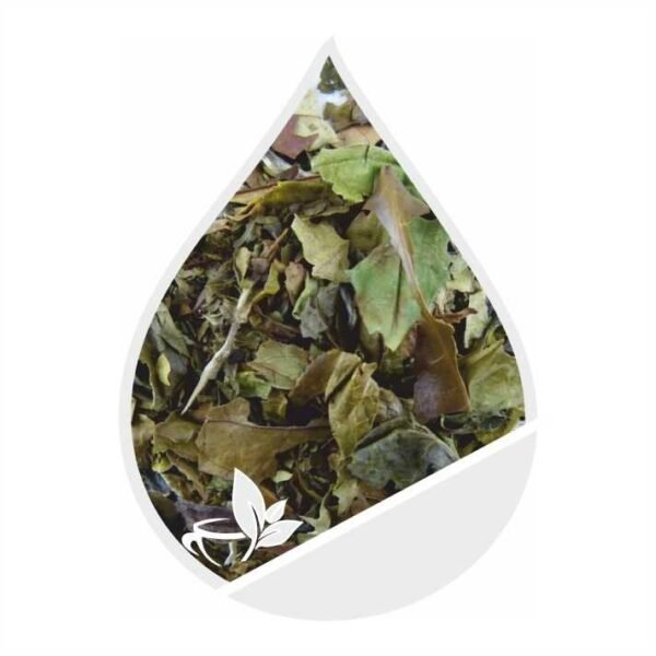 pai-mu-tan-white_optimized.jpg Baltoji arbata Pai Mu Tan - 50 g