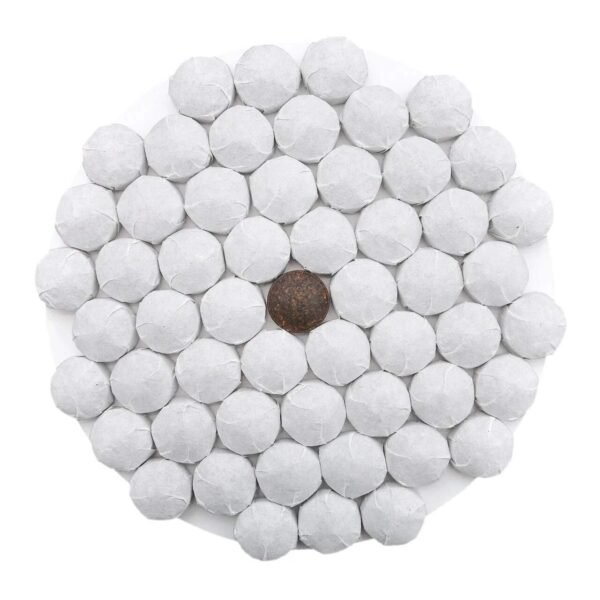 Baltoji arbata Tuocha, 10 vnt.